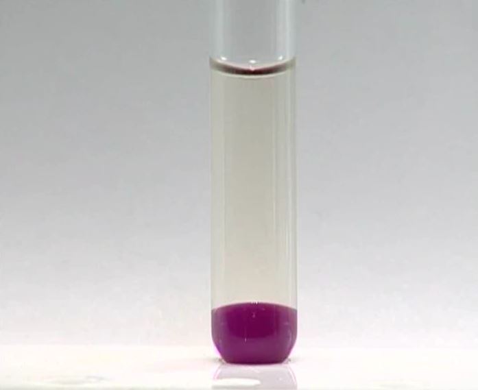 演示实验3-1《碘单质在不同溶剂中的溶解性》高清视频wmv下载