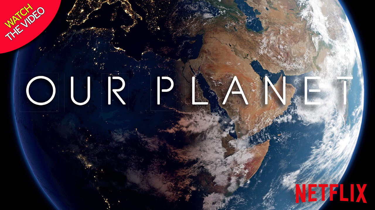 Netflix纪录片《我们的星球Our Planet》全8集高清视频mp4下载